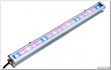 ATUM LEDbar 36W/600mm Doubleside Bloom